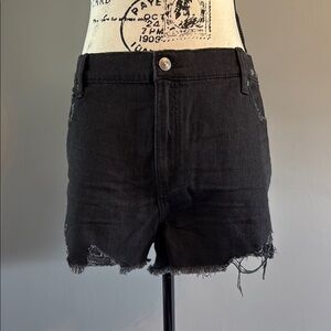 Aerie, XL, NWT - Stylish Black Denim Shorts